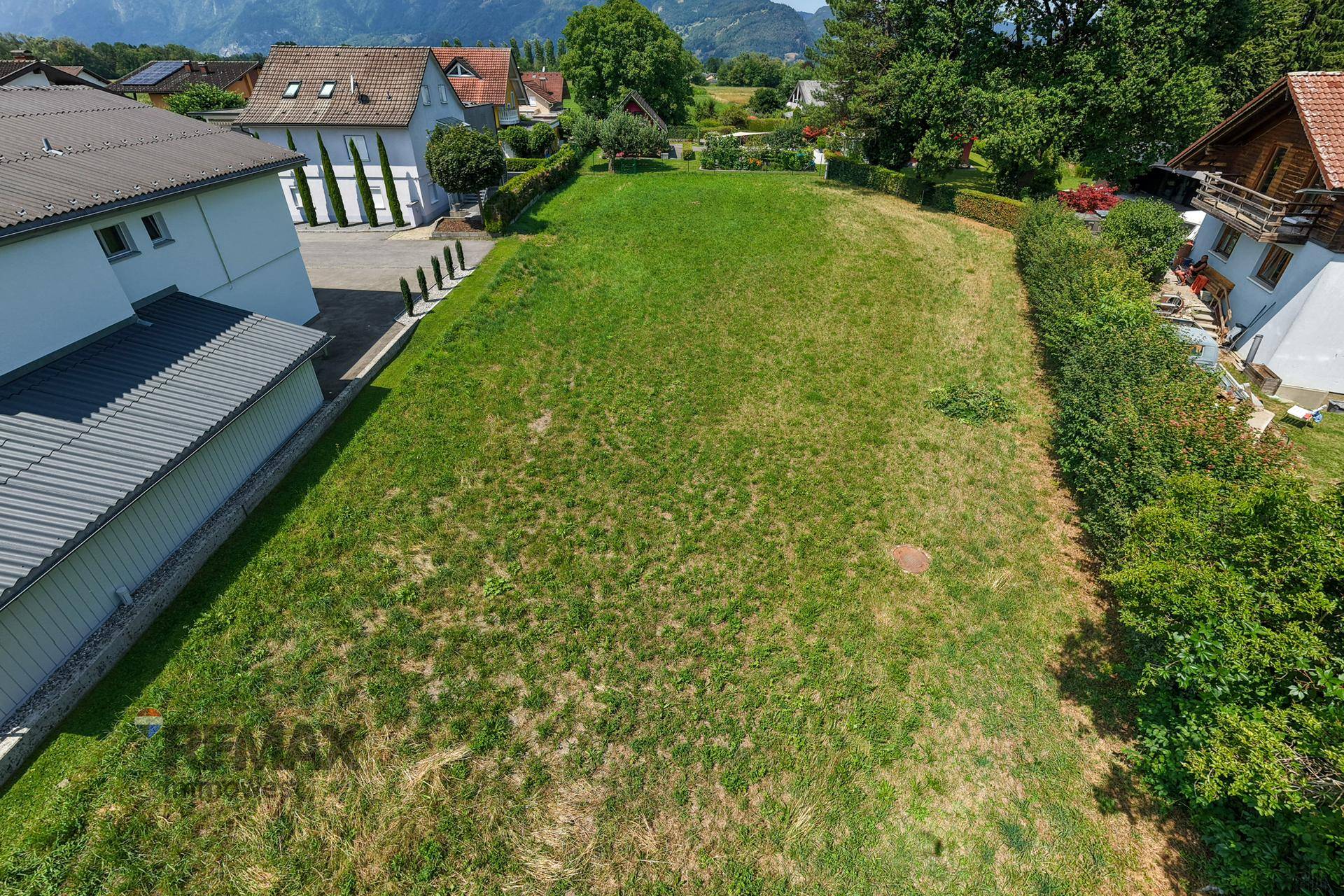 Sonniger Blick auf das grüne Grundstück, umgeben von gepflegten Hecken und benachbarten Wohnhäusern.