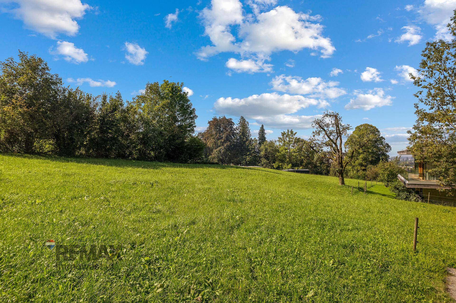 Sonnige, weitläufige Wiesenlandschaft mit üppigem Grün und vereinzelten Bäumen unter einem klaren blauen Himmel.
