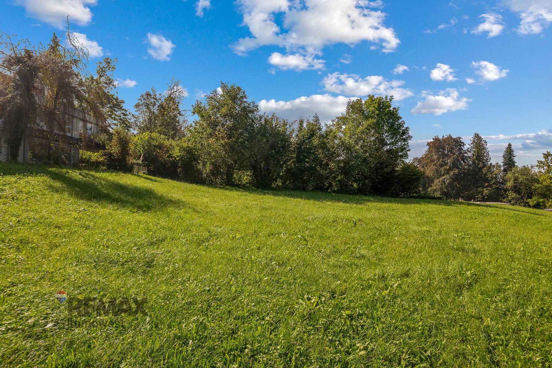 Weitläufige grüne Wiese unter blauem Himmel mit Bäumen im Hintergrund, die eine natürliche Umgebung zeigt.