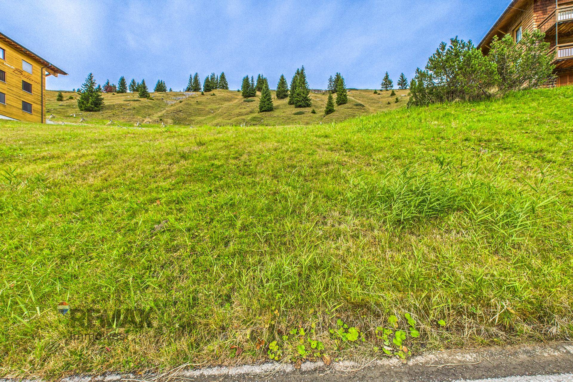 Weitläufige grüne Wiese mit einem Holzgebäude im Hintergrund und bewaldeten Hügeln.