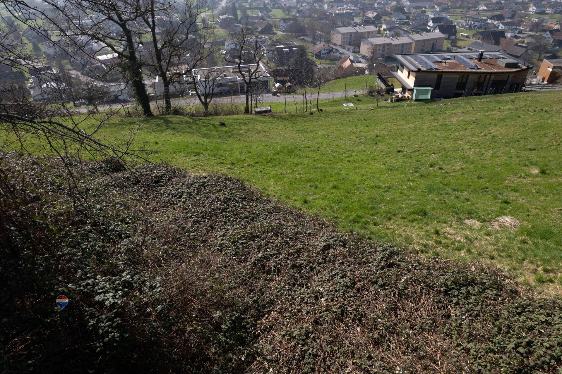 Blick über eine grüne Wiese mit Büschen im Vordergrund und einer Stadt in der Ferne.