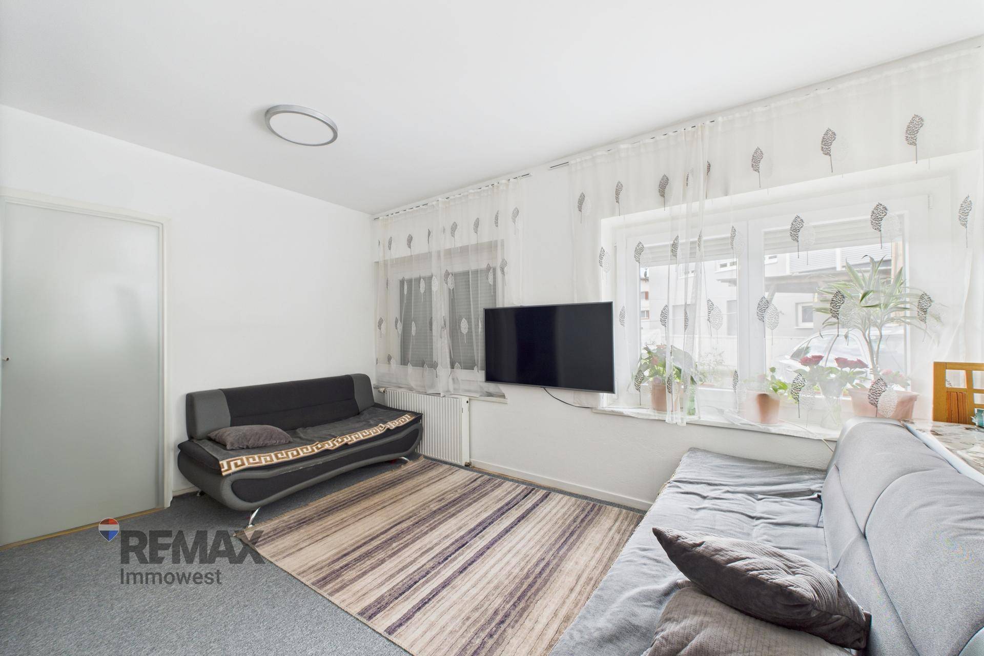 Gemütliches Wohnzimmer mit Sofa, Fernseher und Teppichboden, hell durch große Fenster.
