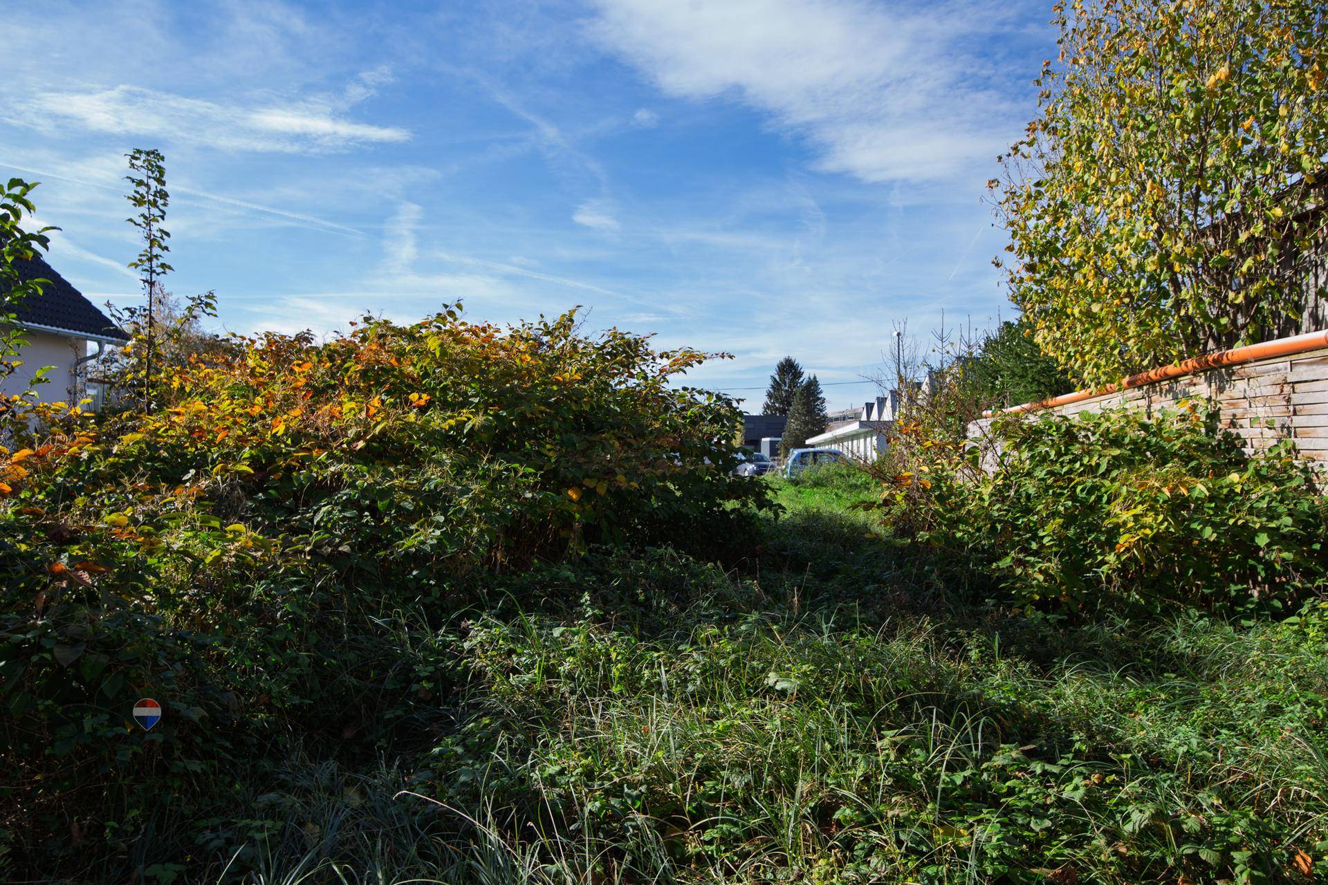 Weitläufiges, unbebautes Grundstück mit dichter Vegetation und Blick auf die Nachbarschaft.