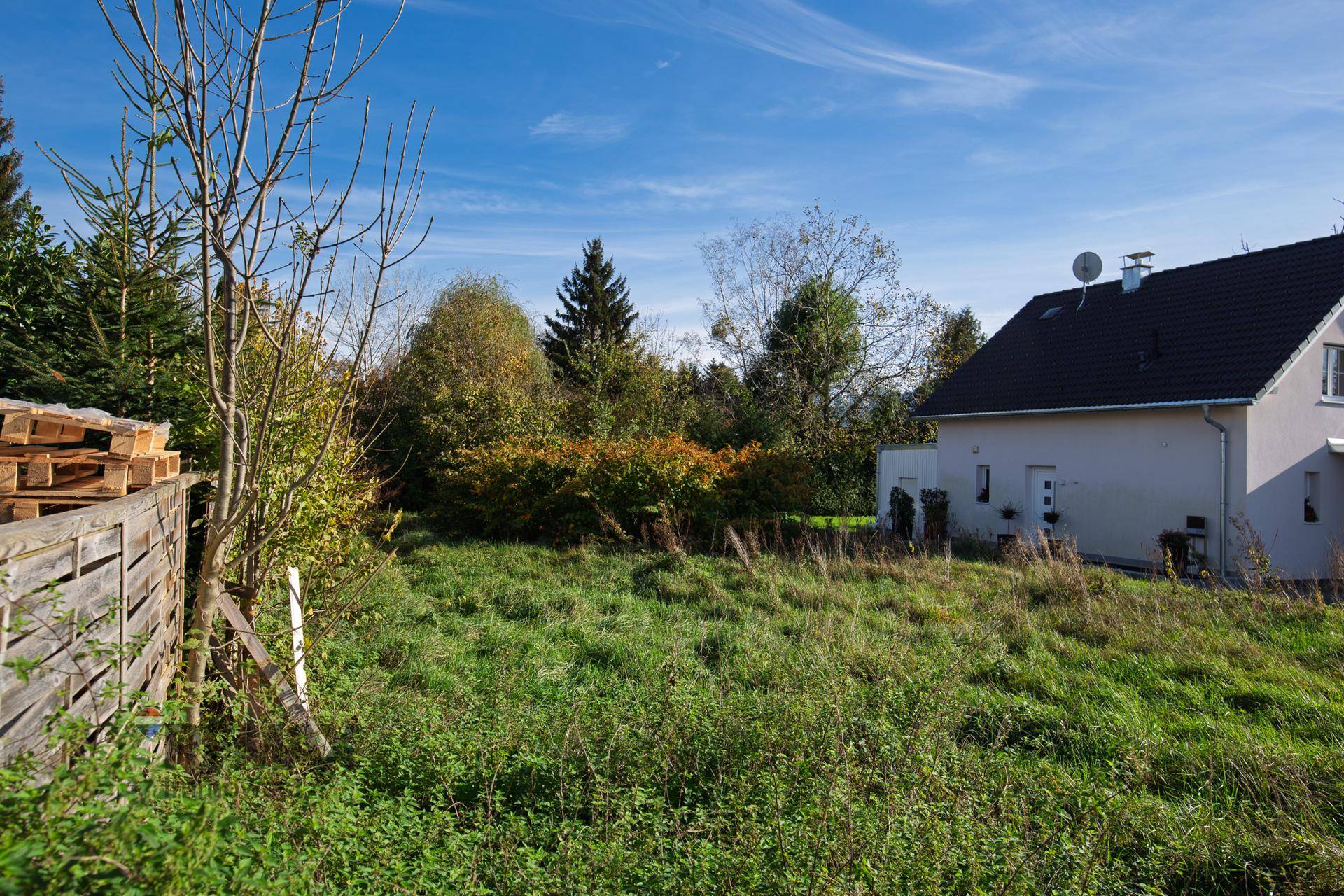 Sonniger Blick auf ein unbebautes Grundstück mit hohem Gras und einem angrenzenden Wohnhaus.