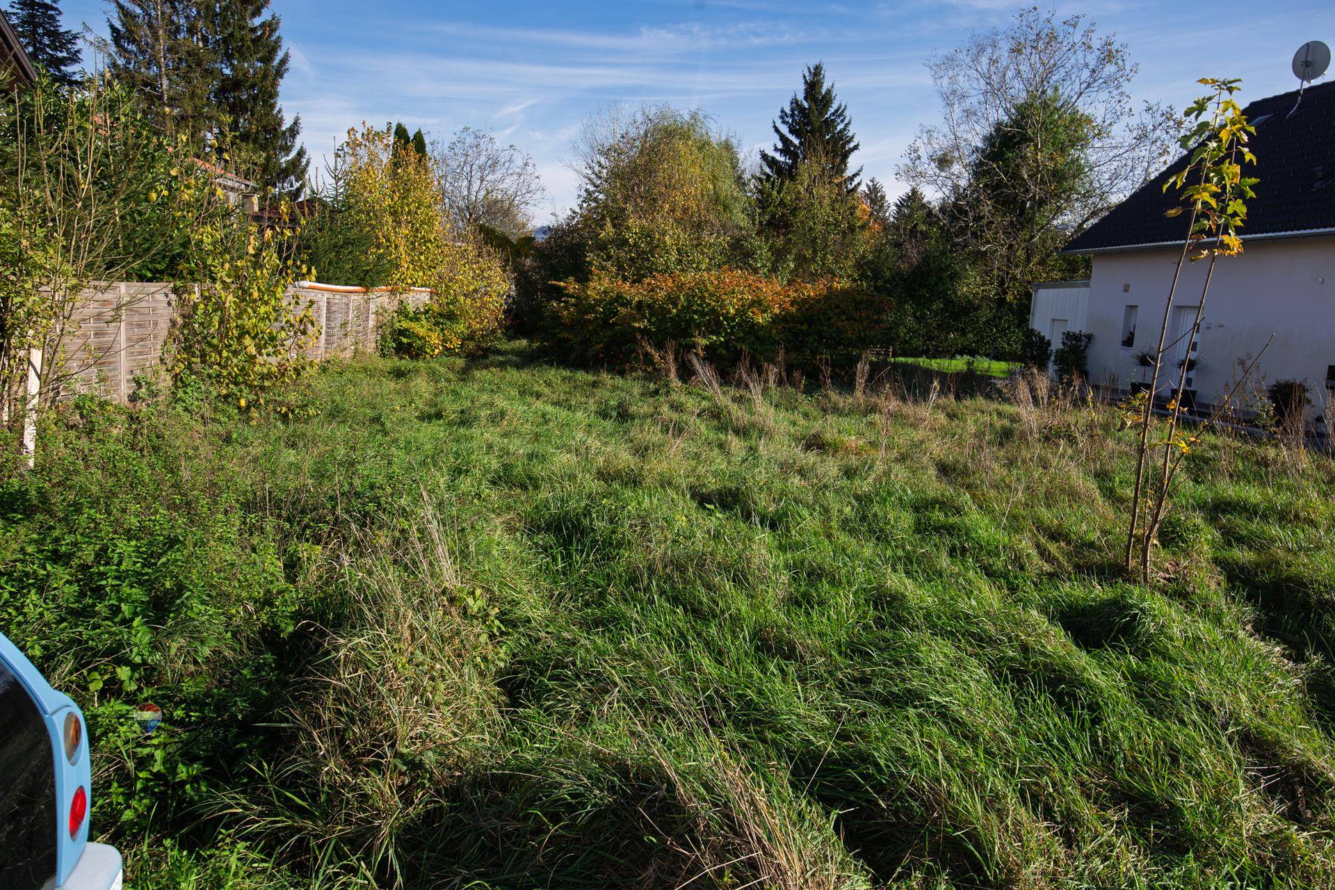 Weitläufiges, unbebautes Grundstück mit üppigem Grün und angrenzenden Häusern an einem sonnigen Tag.