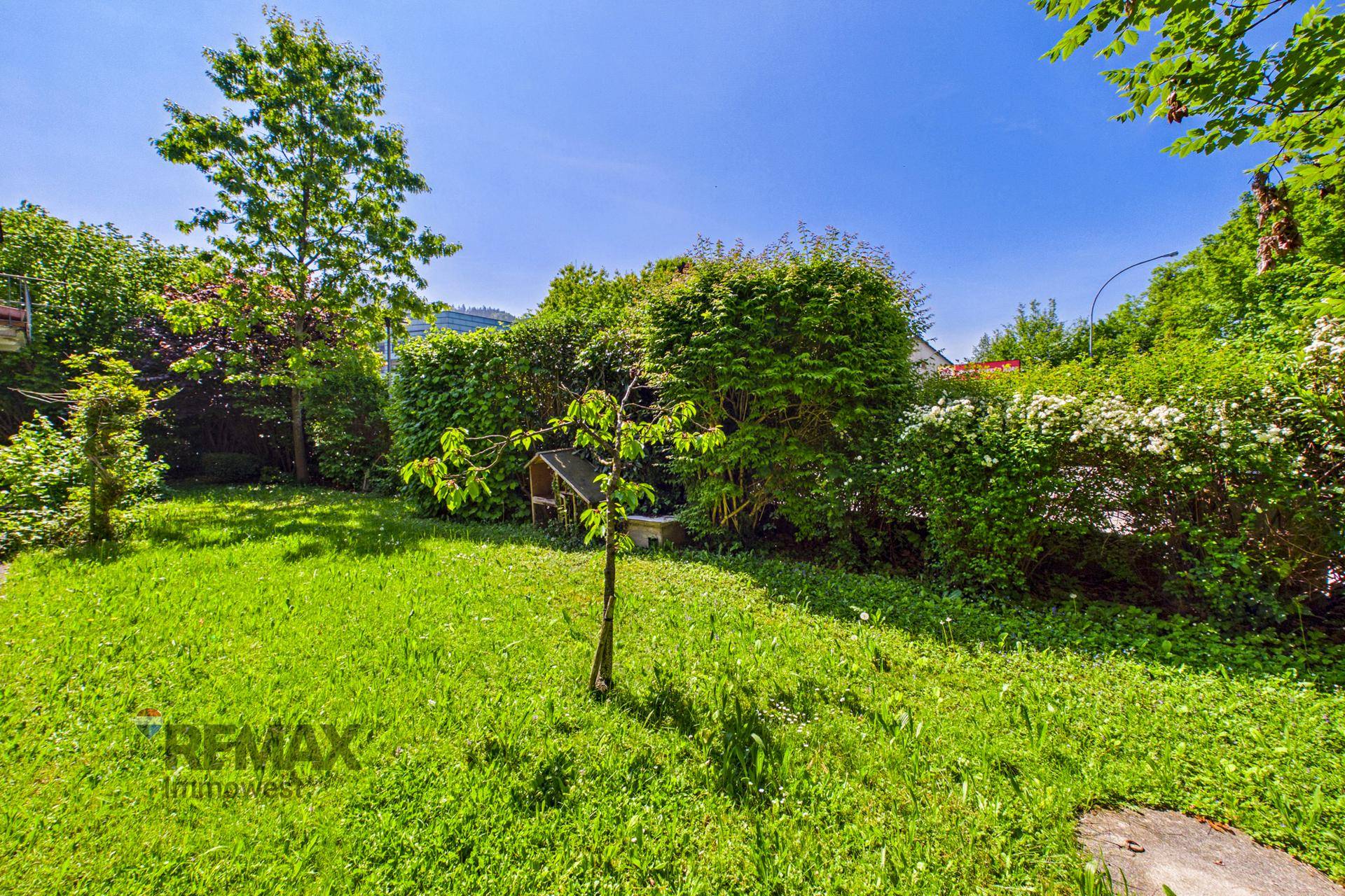 Gepflegter Gartenbereich mit Rasenfläche, hohen Hecken und jungen Bäumen, bietet viel Grün.