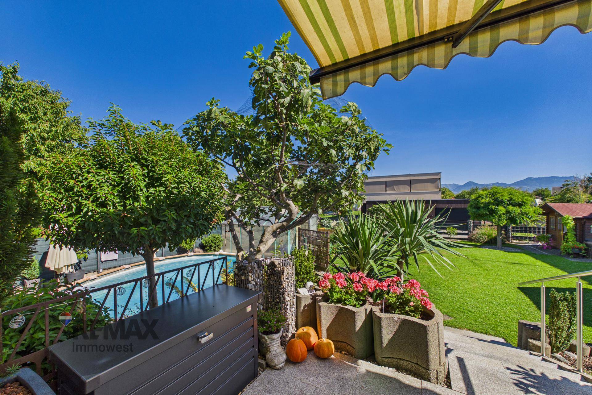 Sonniger Terrassenbereich mit Blumenkübeln, Bäumen und Blick auf den Pool und die Berge.