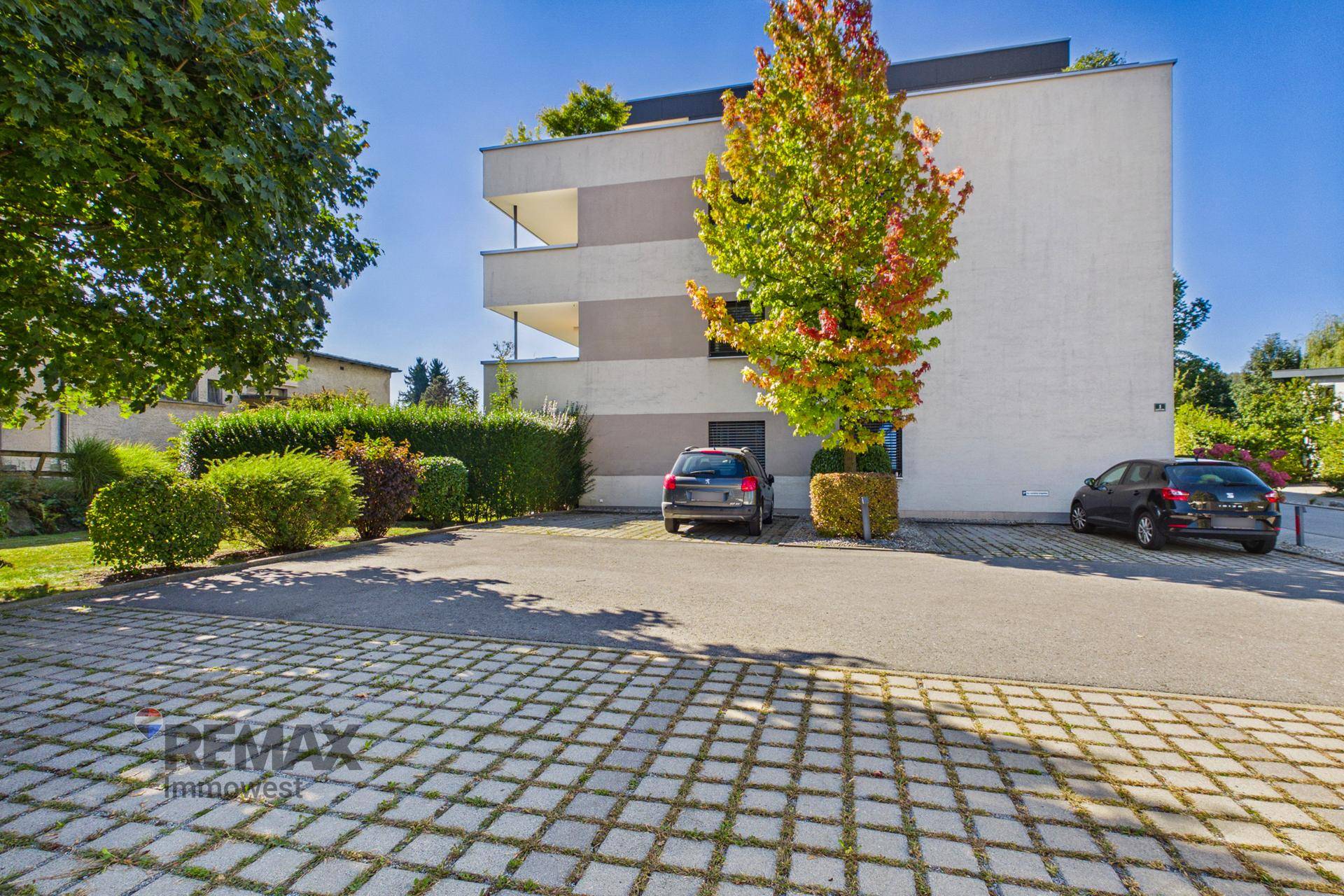 Außenparkplätze vor einem modernen Gebäude, umgeben von gepflegten Hecken und Bäumen.
