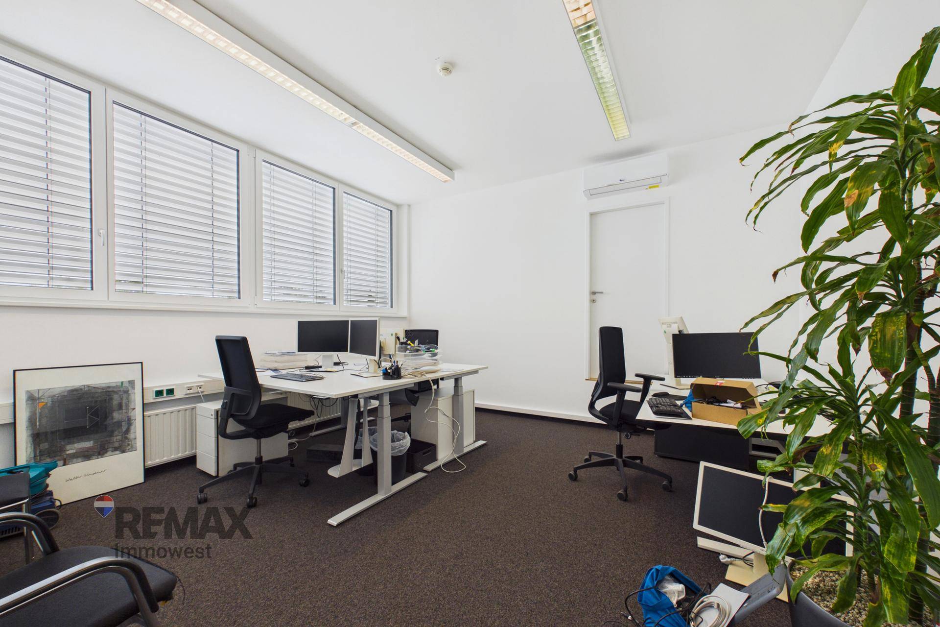 Funktionales Büro mit mehreren Arbeitsplätzen, Pflanzen und Klimaanlage für angenehmes Raumklima.