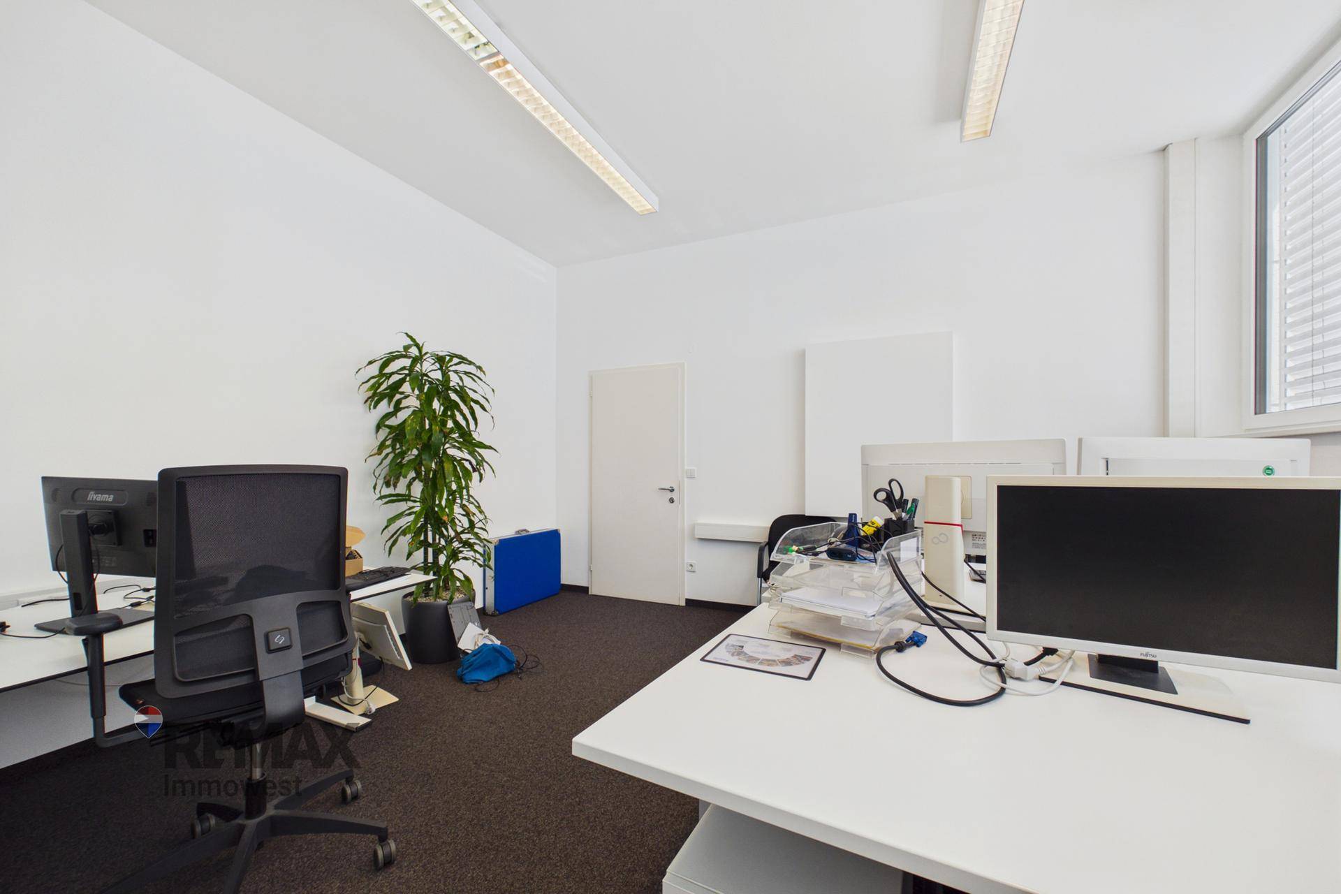 Helles Büro mit Arbeitsplätzen, grünen Pflanzen und einem Fenster, das viel Tageslicht hereinlässt.