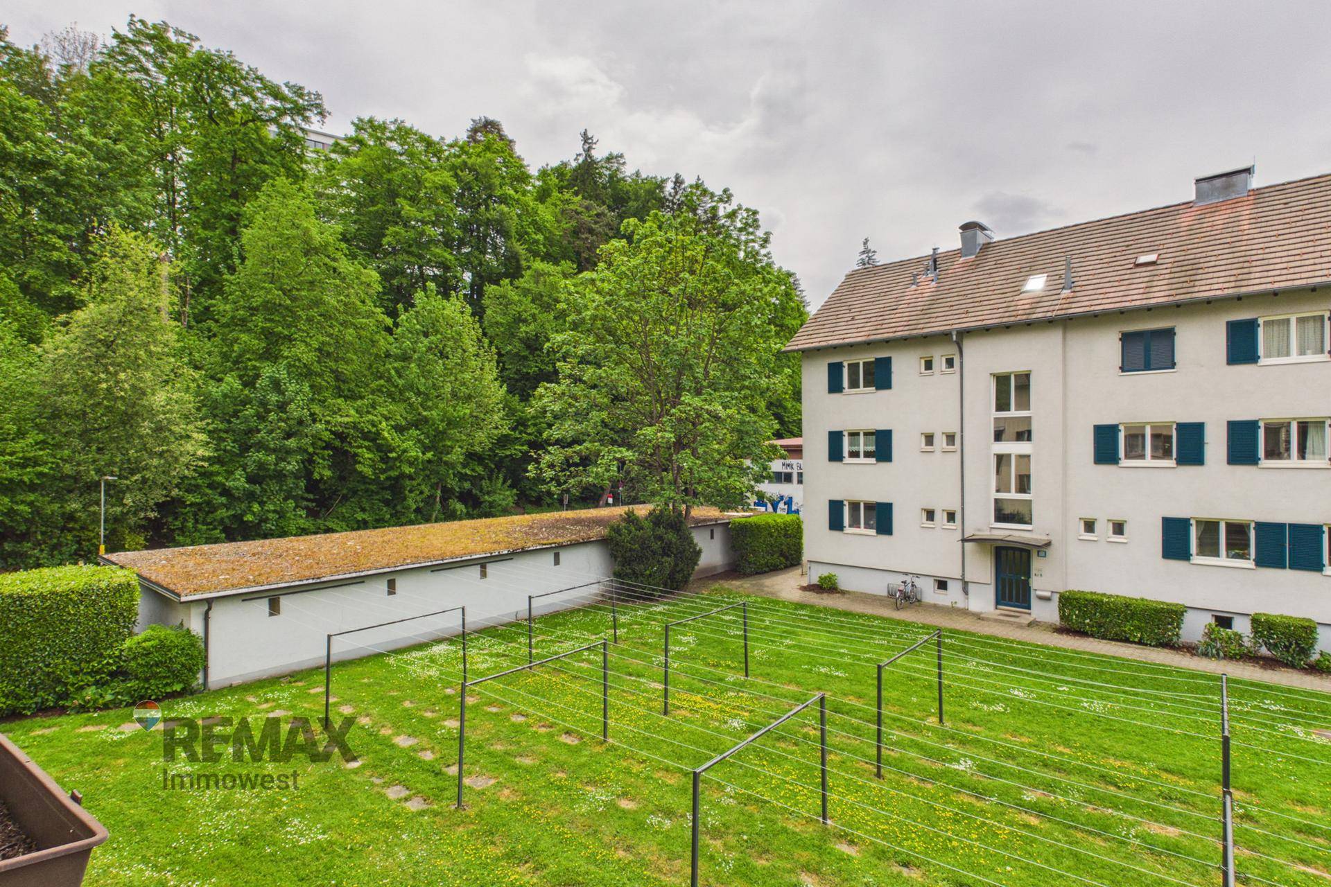 Gemeinschaftsgarten mit Wäscheleinen und angrenzendem Waldgebiet.