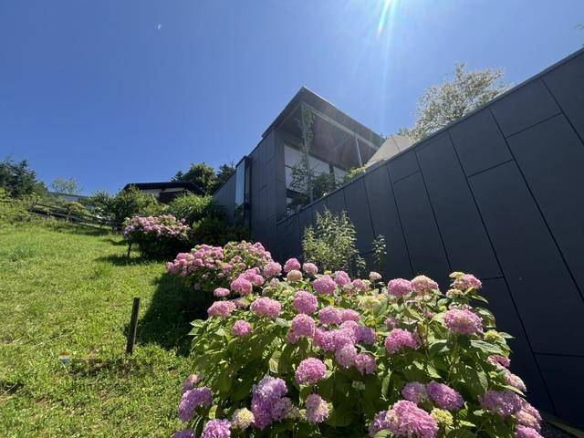 Blühender Garten mit Hortensien am Hang neben der modernen Gebäudefassade unter blauem Himmel.