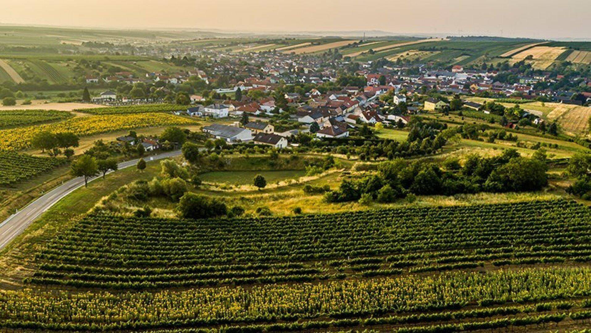 Herrnbaumgarten