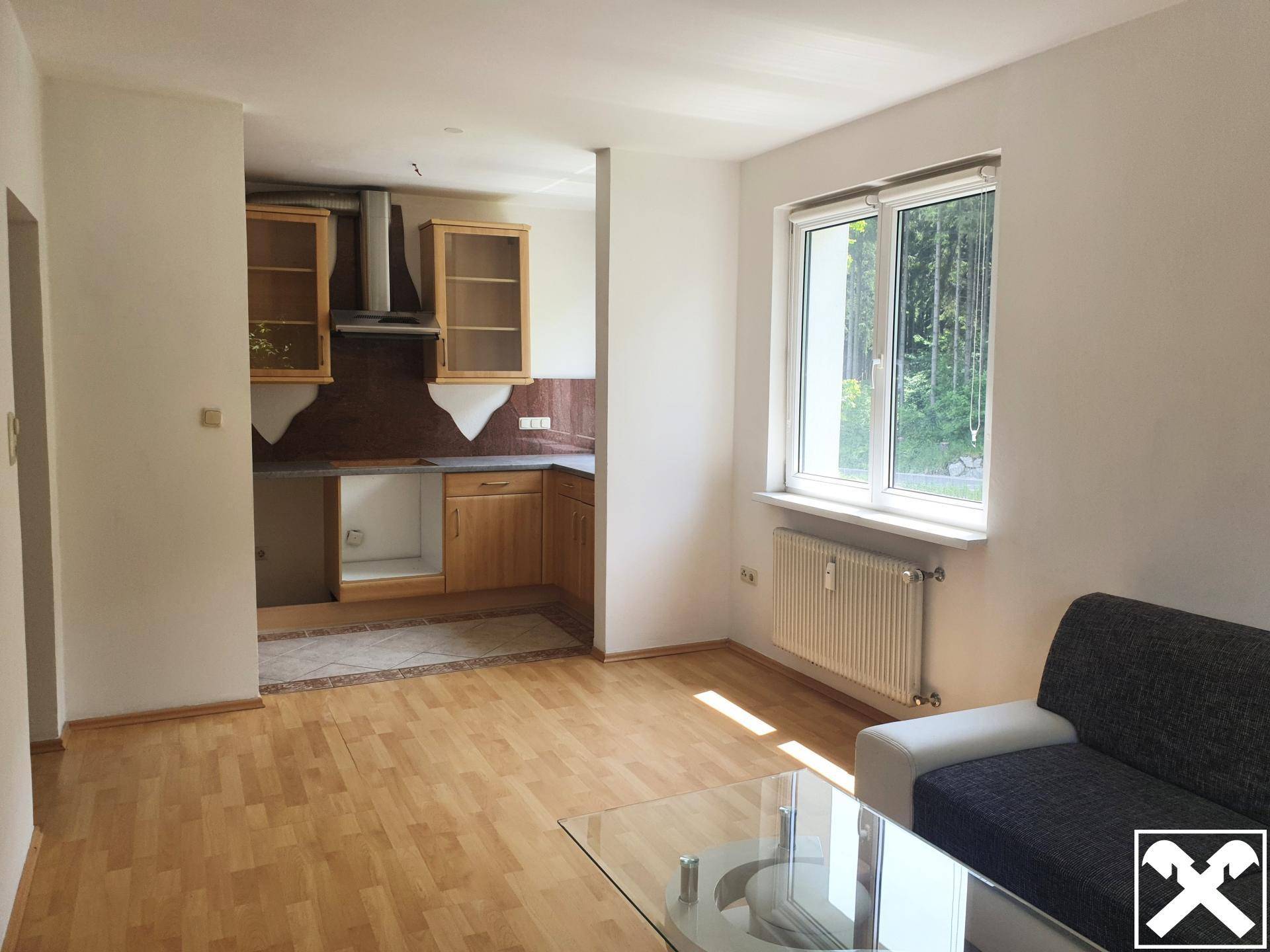 Wohnzimmer mit Küche