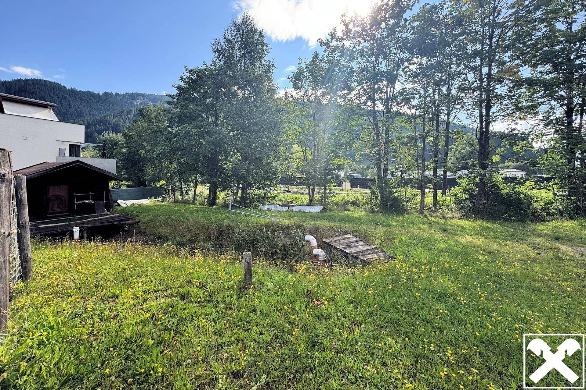 Sonniges, grünes Grundstück mit Bäumen und einem kleinen Holzschuppen.