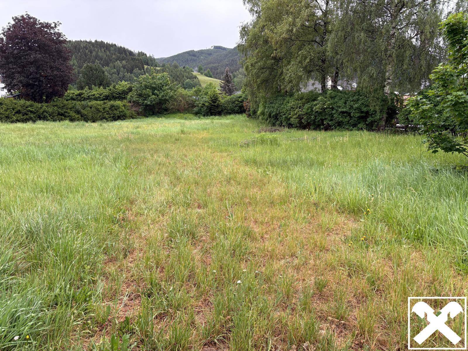 Offenes Feld mit hohem Gras und vereinzelten Bäumen, umgeben von bewaldeten Hügeln.