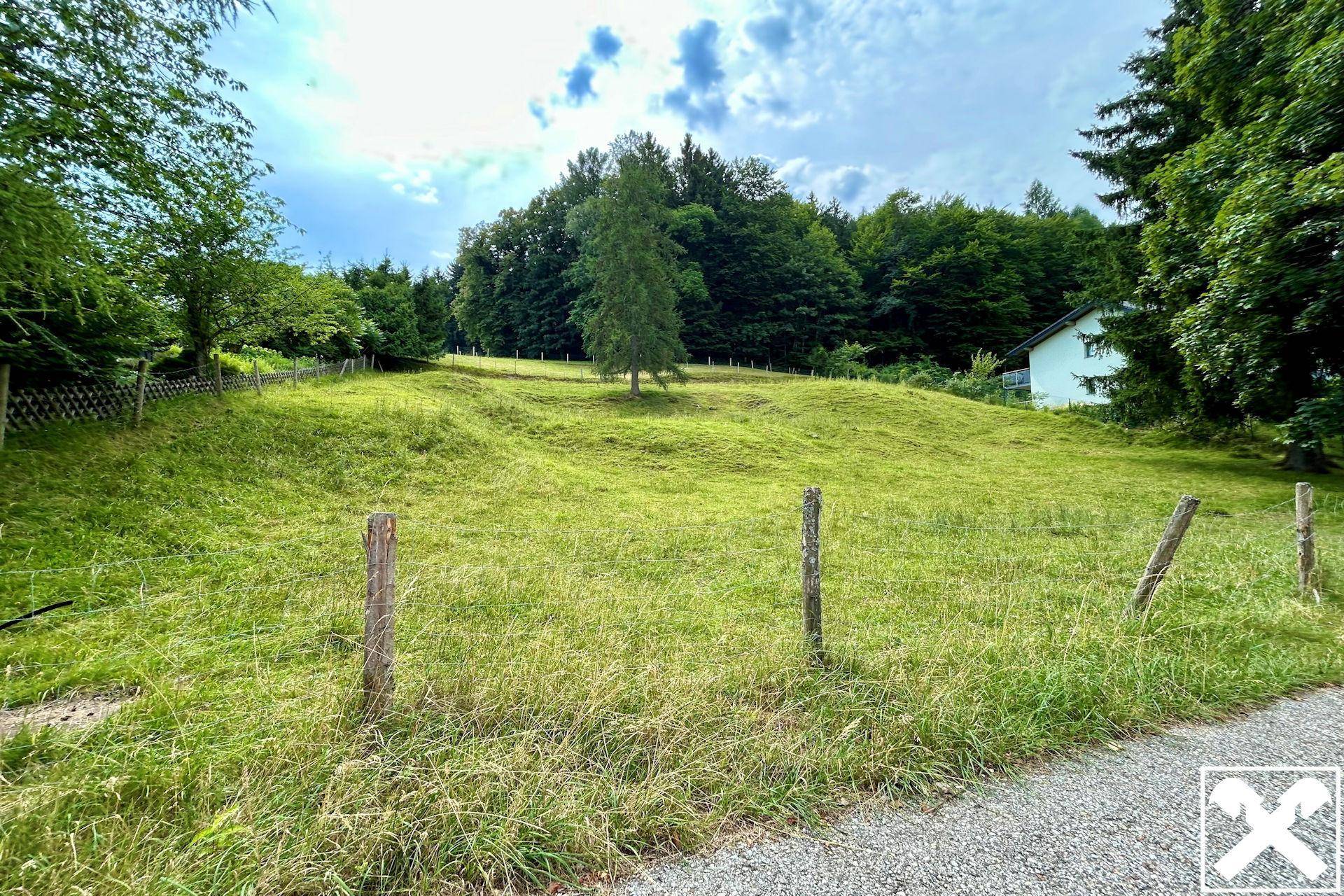 Idyllische Landschaft mit einer großen Wiese, umgeben von Bäumen und einem Haus in der Ferne, bietet Ruhe.