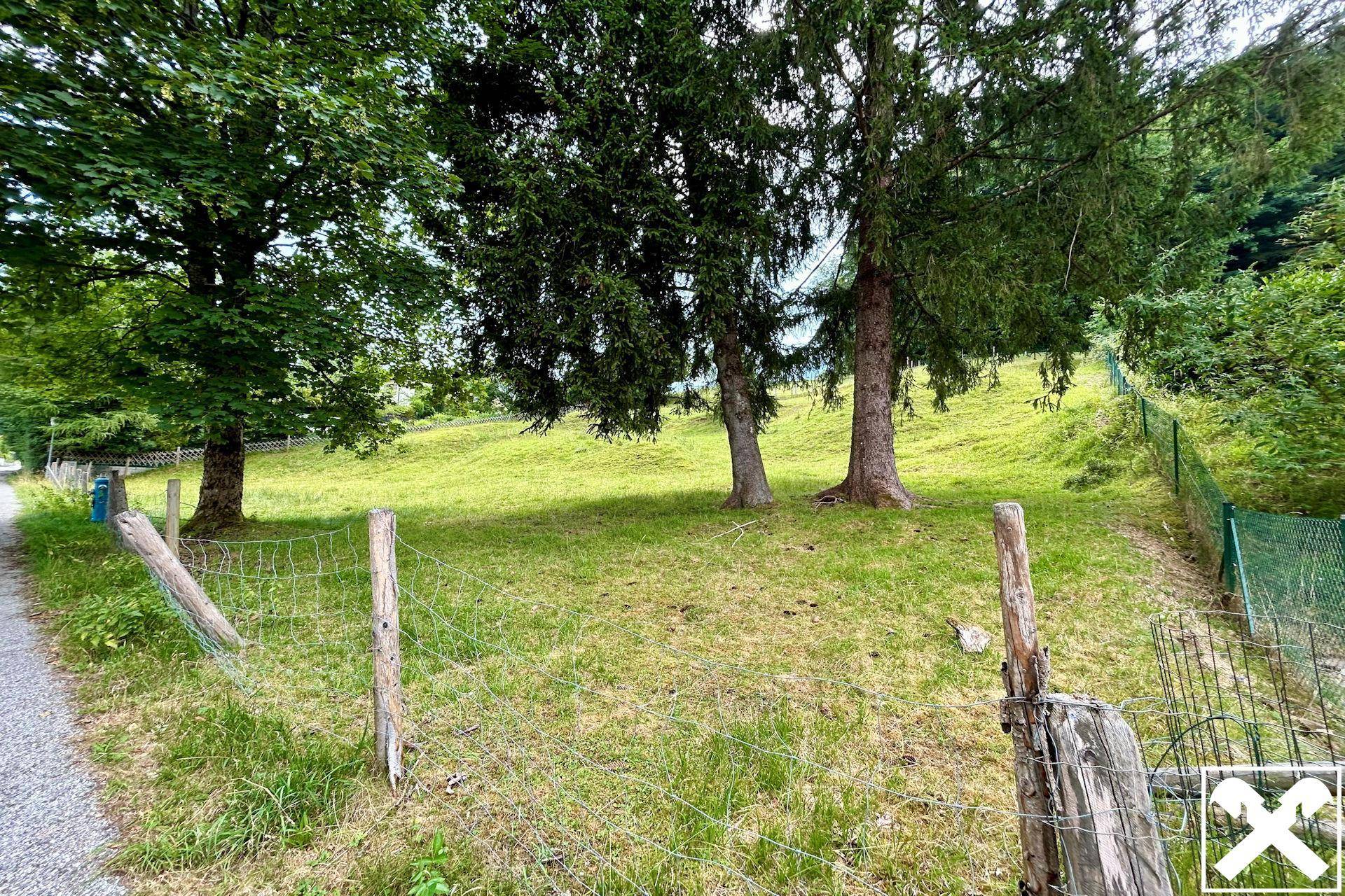 Natürliche Umgebung mit einer Wiese, umgeben von hohen Bäumen und einem einfachen Zaun, sehr ländlich.
