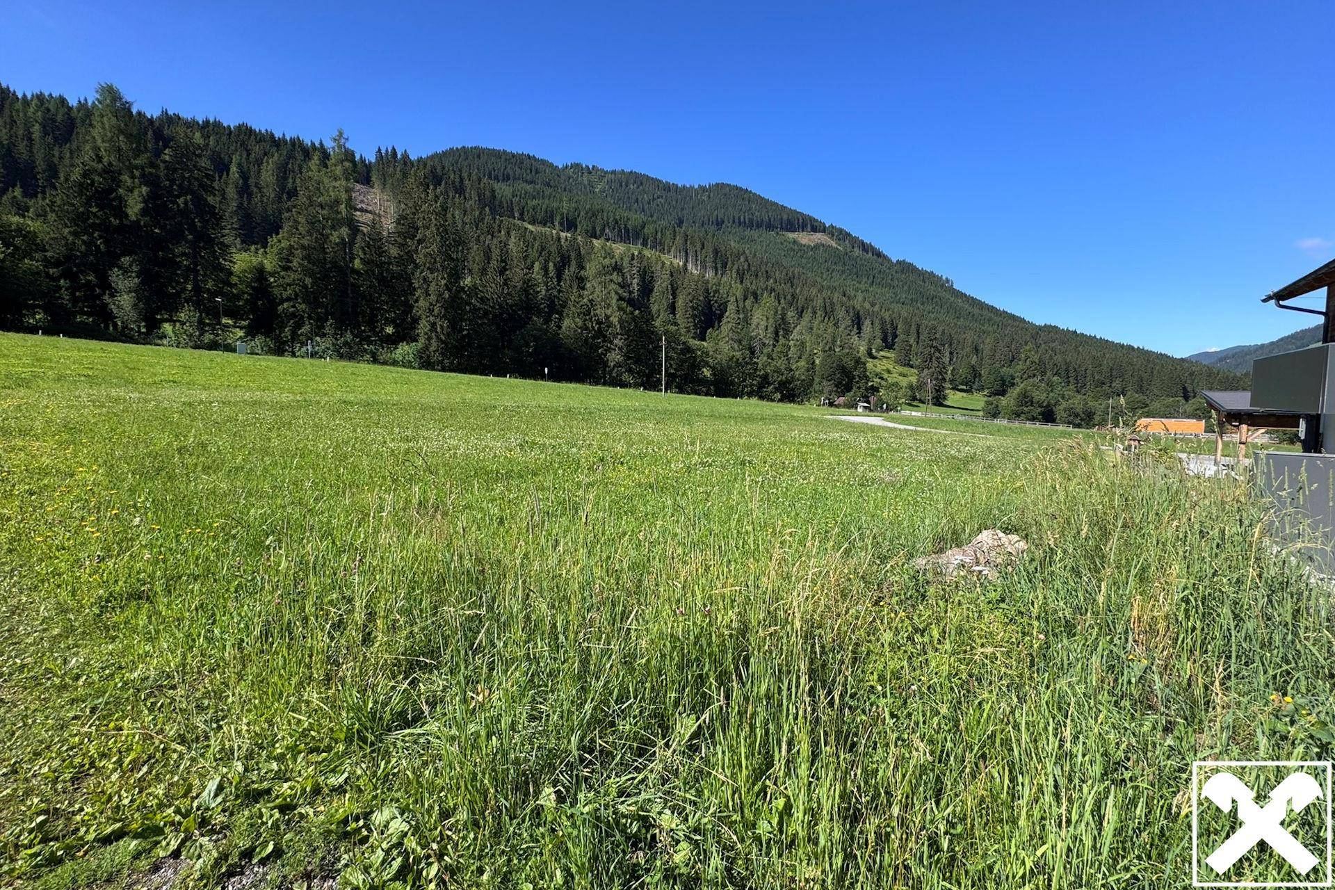Weitläufiges grünes Feld mit Blick auf bewaldete Berge unter blauem Himmel.