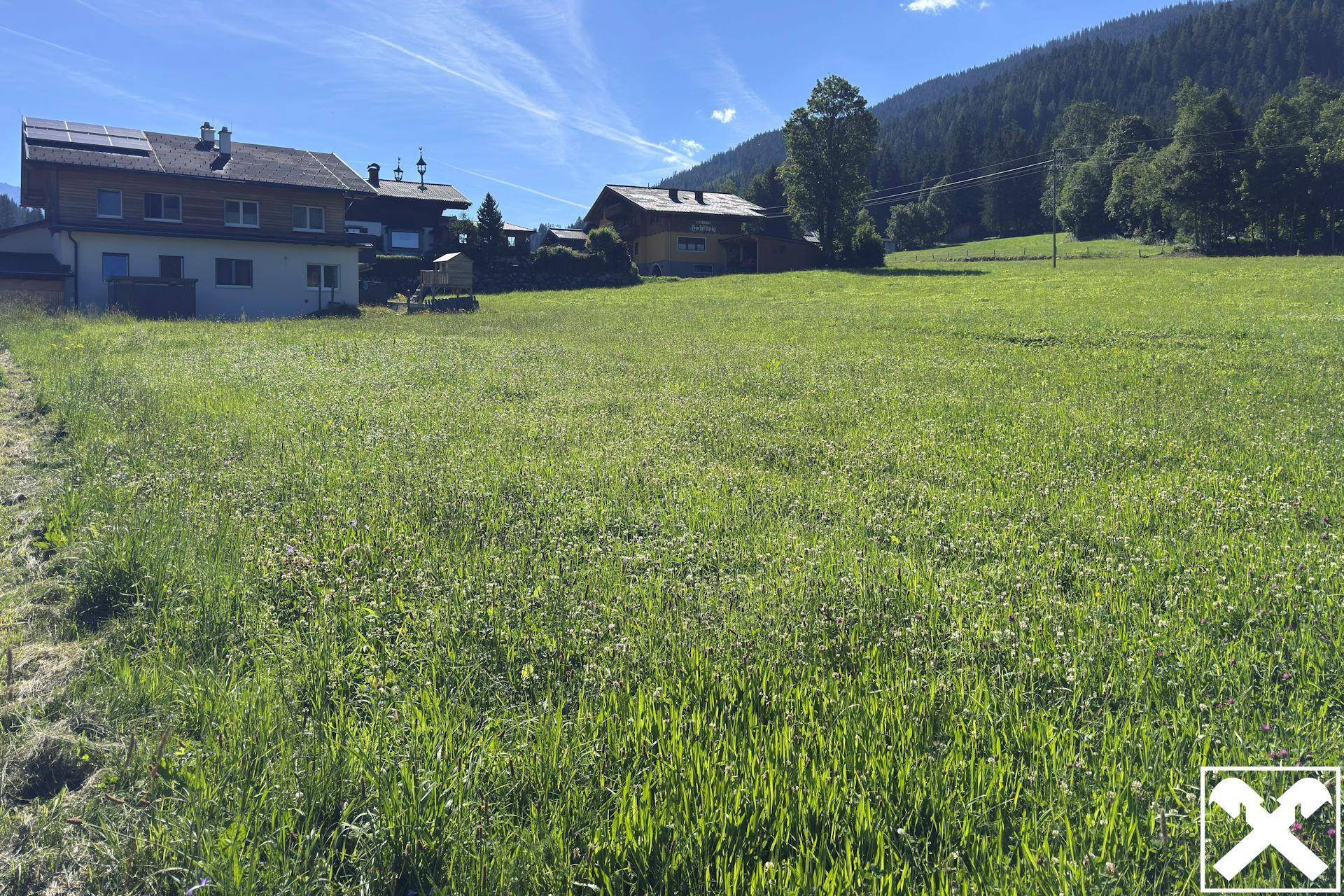 Sonniges grünes Feld mit Blick auf traditionelle Häuser und die bewaldeten Berge.
