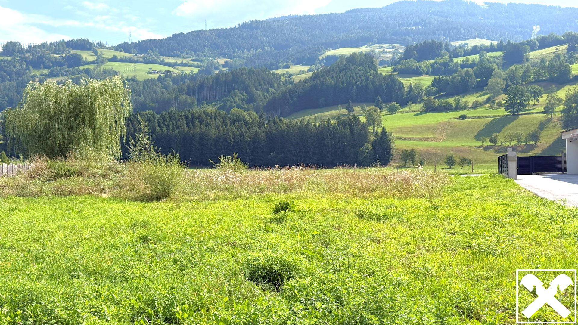Grünes Grundstück mit weitem Blick auf bewaldete Hügel und die umliegende Natur.