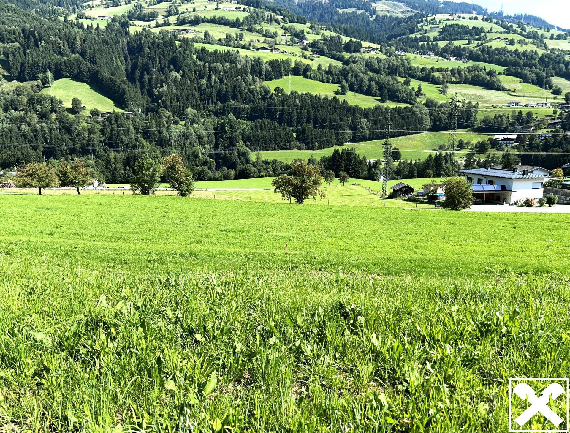 Idyllische ländliche Umgebung mit weiten Wiesen, vereinzelten Häusern und bewaldeten Bergen.