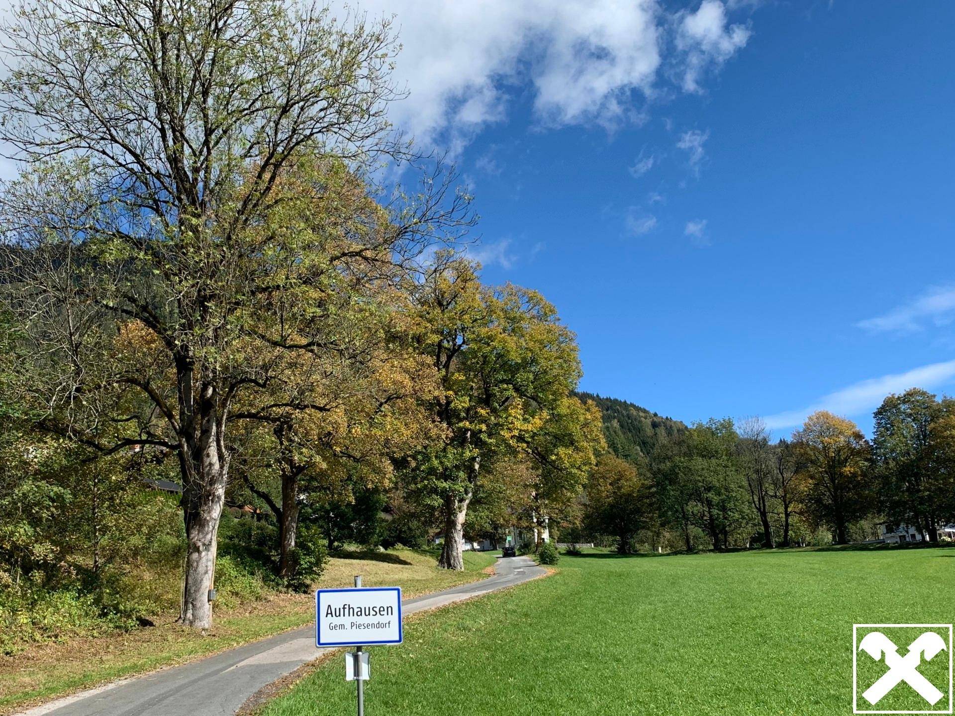 Landstraße umgeben von hohen Bäumen und grünen Wiesen, die zu einem kleinen Dorf führt.