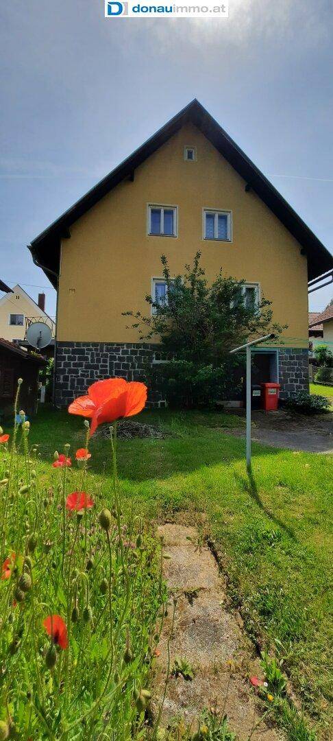 Mohnblume im Waldviertel