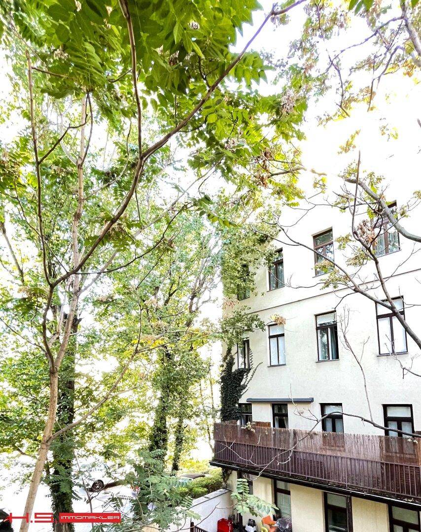 Blick auf eine Gebäudefassade mit Balkon, umgeben von dichtem grünen Baumbestand.
