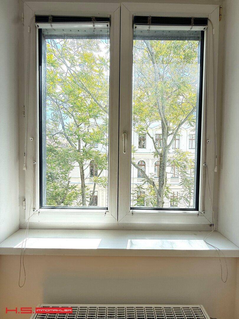 Fensterblick auf grüne Bäume und die gegenüberliegende Gebäudefassade, mit Heizkörper darunter.