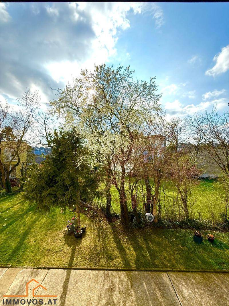 Blick Garten