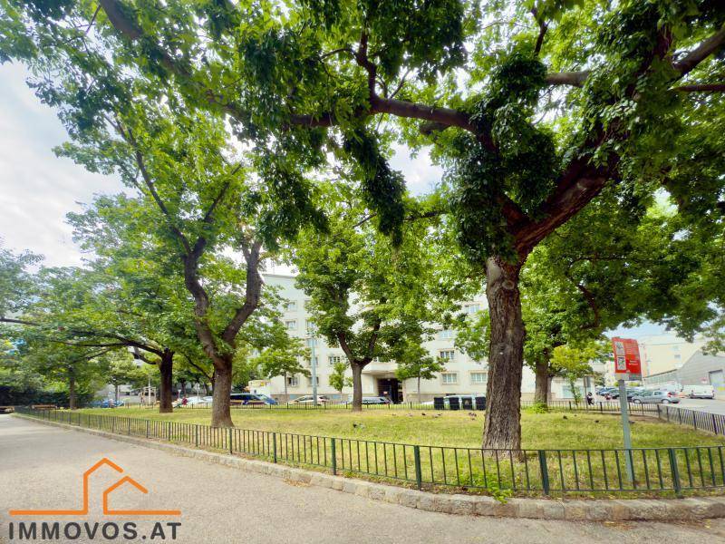 Grüne Parkanlage mit vielen Bäumen und einem Gebäude im Hintergrund.