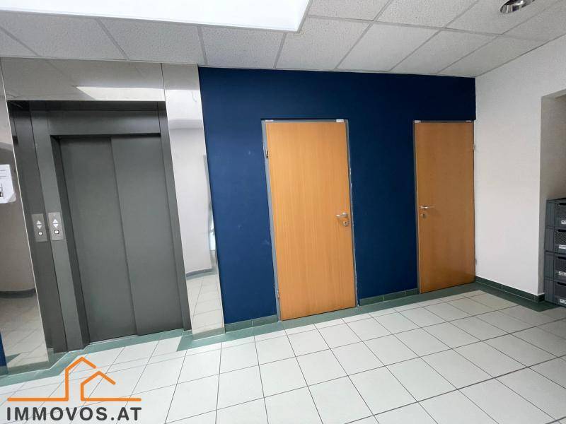 Eingangsbereich mit Aufzug, Holztüren und gefliestem Boden, akzentuiert durch eine blaue Wand.