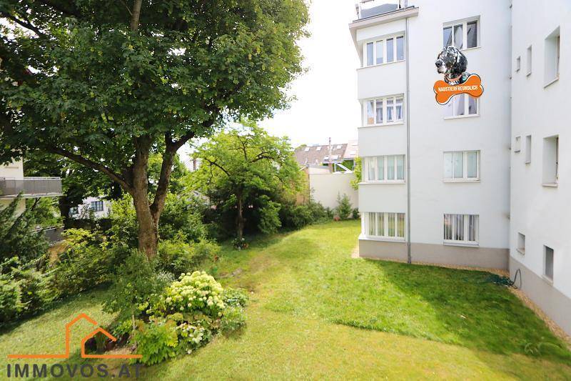 Sommerlicher Garten - Ostseite