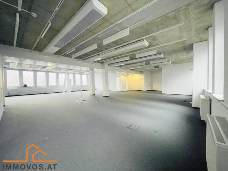 Geräumiger, leerer Büroraum mit Teppichboden, hohen Decken und großen Fenstern für viel Tageslicht.