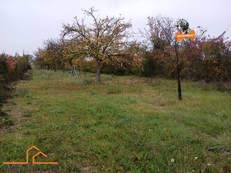 TOR ZUM GLÜCK - RIESEN GRUNDSTÜCK MIT GEBÄUDE UND VIELEN MÖGLICHKEITEN - Ansicht 5