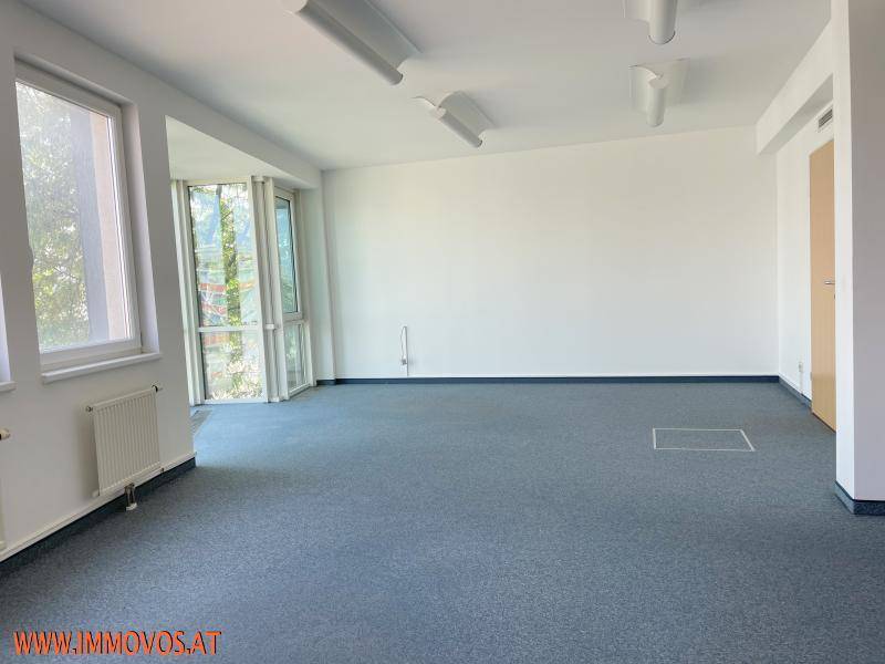 Heller Büroraum mit Teppichboden und großen Fenstern, die viel Tageslicht hereinlassen.