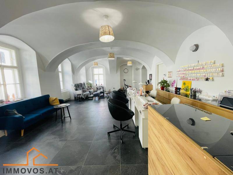 ***REPRÄSENTATIVE BÜRO- / GESCHÄFTSFLÄCHE - SCHÖNBRUNN-NÄHE*** - Ansicht 3