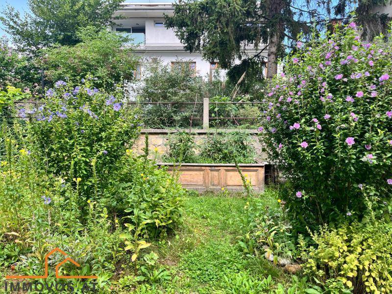 Üppiger, naturbelassener Garten mit verschiedenen Pflanzen und Sträuchern, im Hintergrund ein Gebäude.