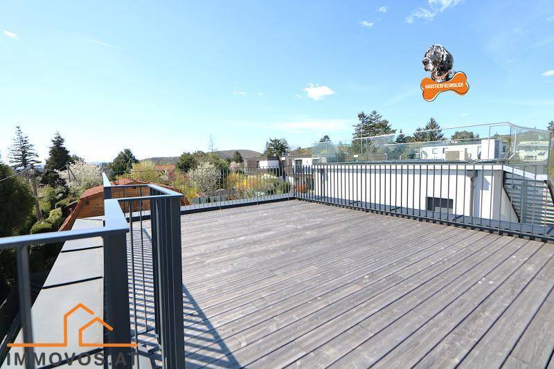 Geräumige Dachterrasse mit Holzboden und Blick auf die umliegenden Häuser und Bäume.