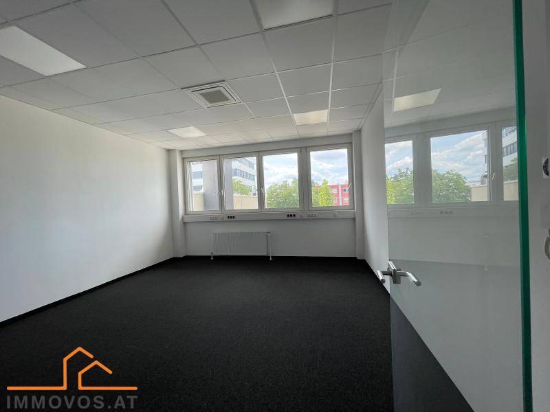 Modernes Büro mit dunklem Teppichboden, großen Fenstern und abgehängter Decke.