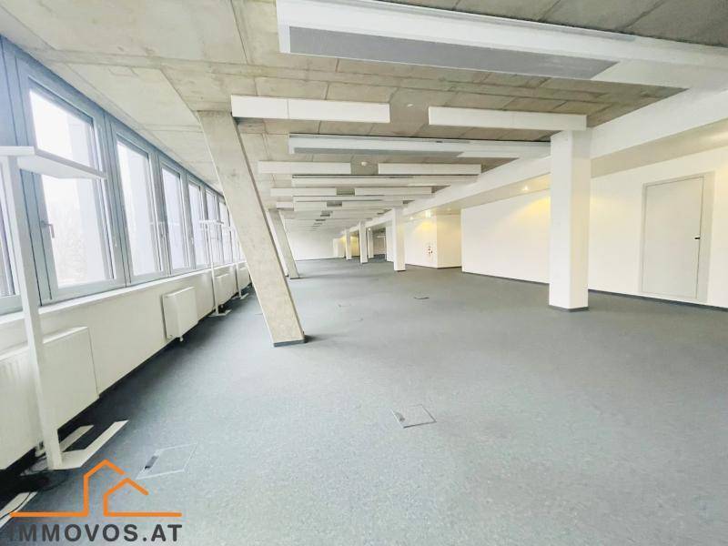 Weitläufiger, unmöblierter Bürobereich mit vielen Fenstern, Teppichboden und sichtbaren Betonelementen.