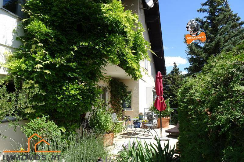 Von Efeu bewachsene Terrasse mit Gartenmöbeln und Sonnenschirm, umgeben von üppigem Grün.