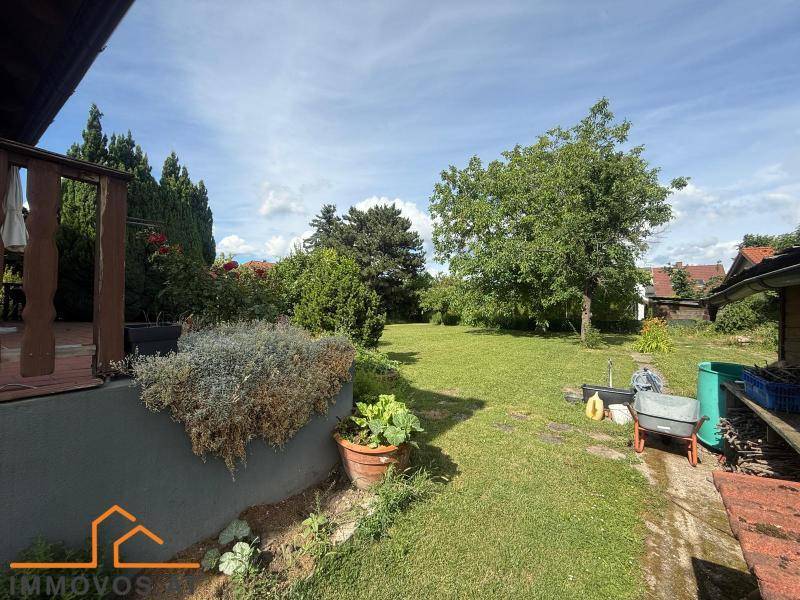 Gepflegter Gartenbereich mit Terrasse, Pflanzen und Gartenwerkzeugen unter blauem Himmel.