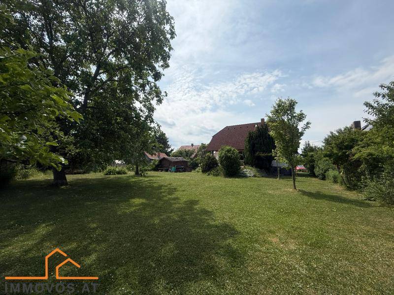 Weitläufiger Garten mit altem Baumbestand und viel Grünfläche unter sonnigem Himmel.