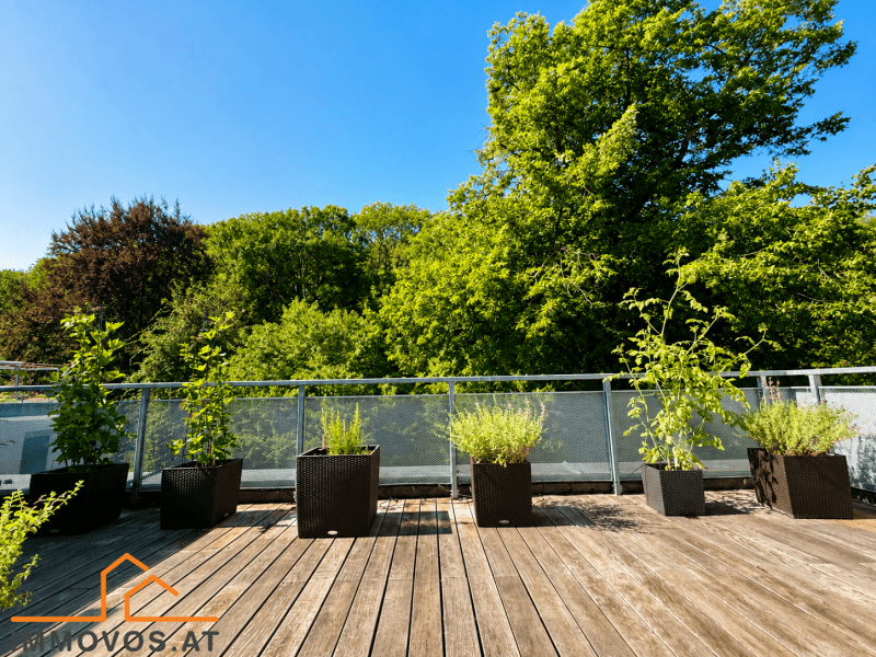 Weitläufige Dachterrasse mit Holzboden und Pflanzen in Kübeln, umgeben von üppigem Grün.