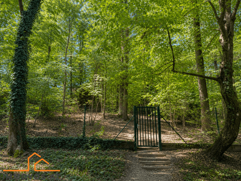 Grüner Waldweg mit einem Tor, umgeben von dichtem Baumbestand und Pflanzen.