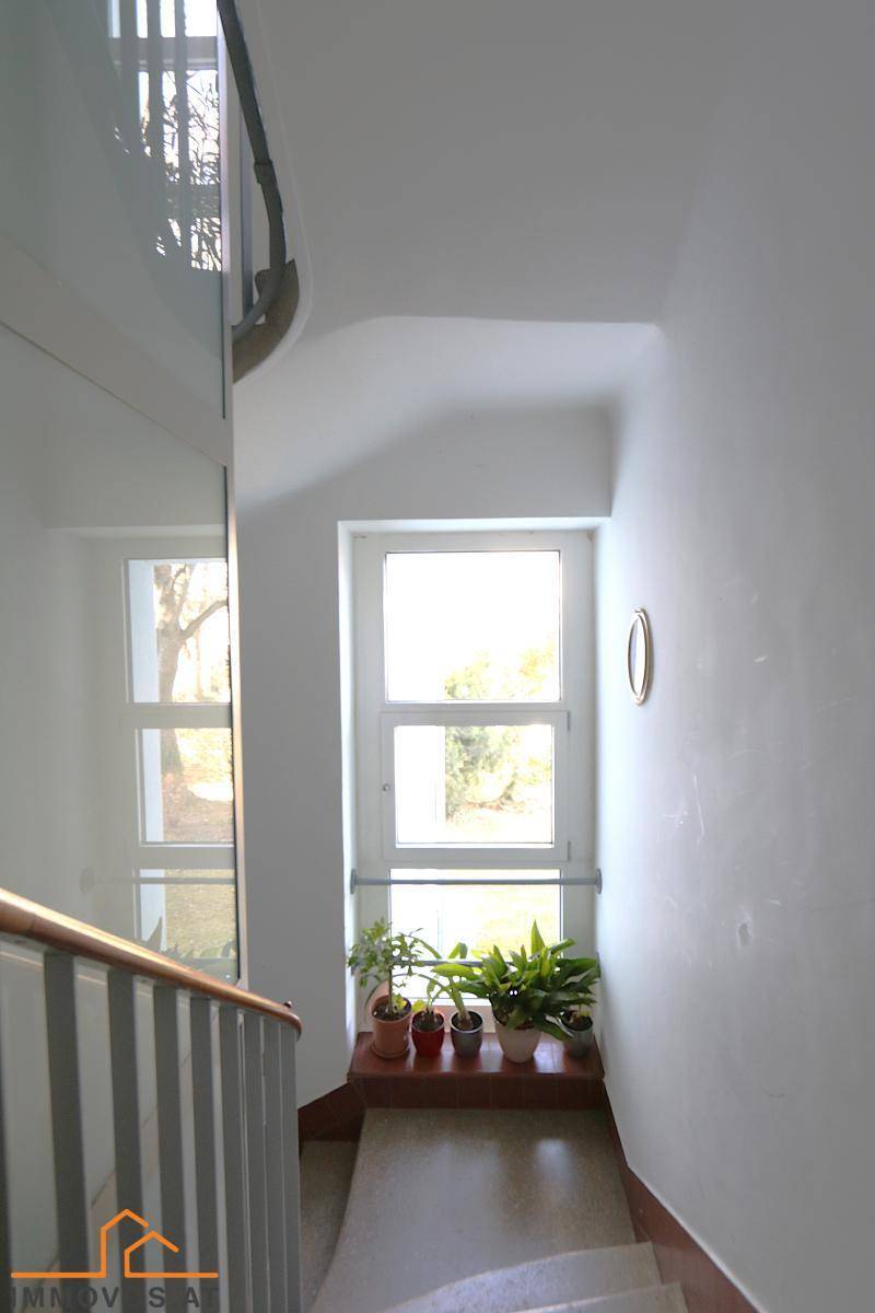 Helles Treppenhaus mit Fenster und Pflanzen auf der Fensterbank.