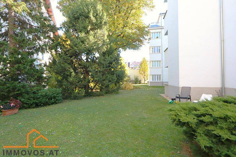 Gepflegter Gemeinschaftsgarten mit Rasenfläche und hohen Bäumen.