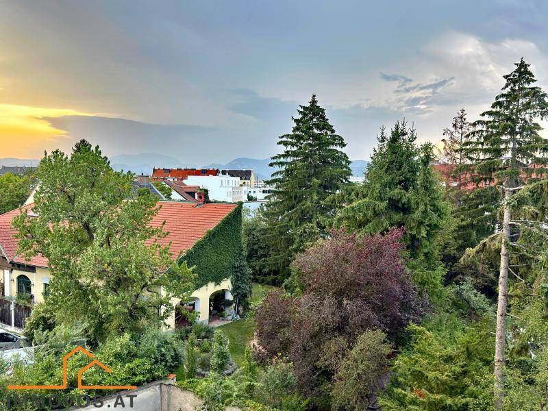 3 ausblick.jpg